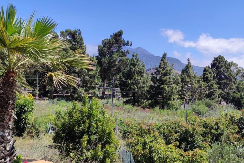 Agradable casa palmera con preciosas vistas El Paso Exterior foto