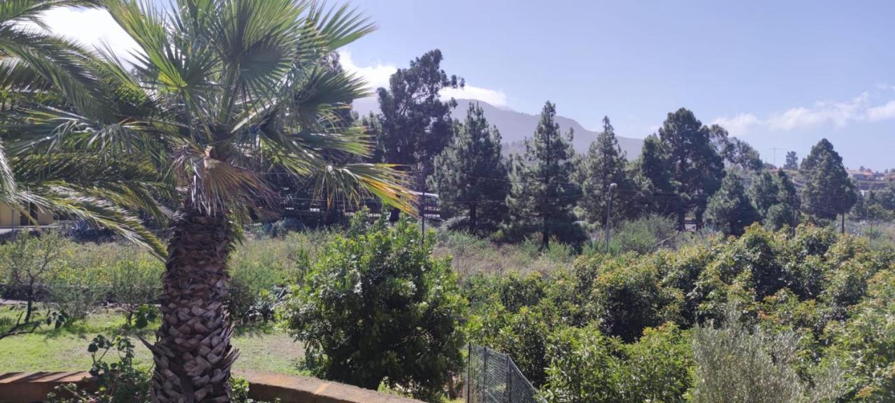 Agradable casa palmera con preciosas vistas El Paso Exterior foto